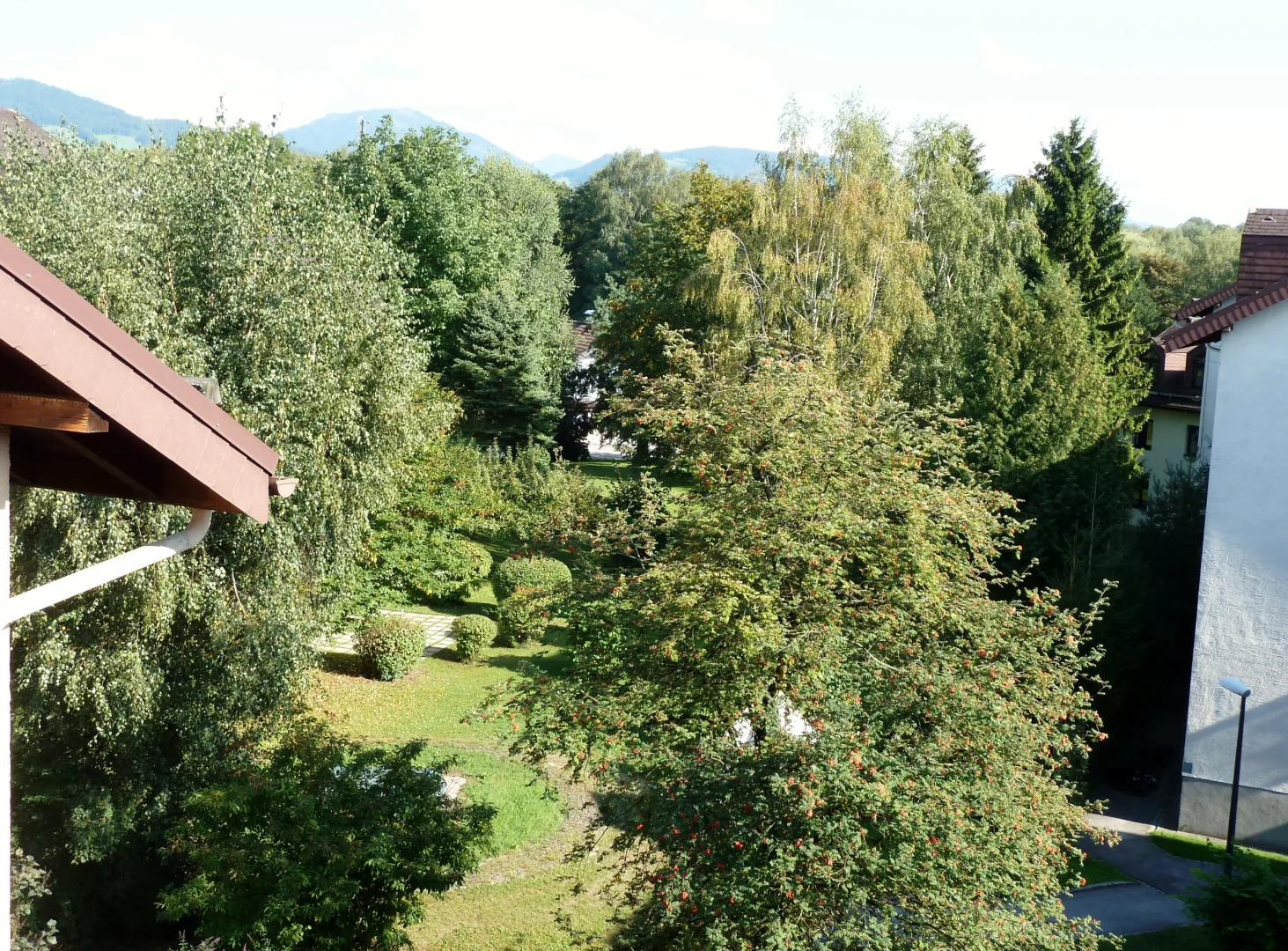 Ausblick