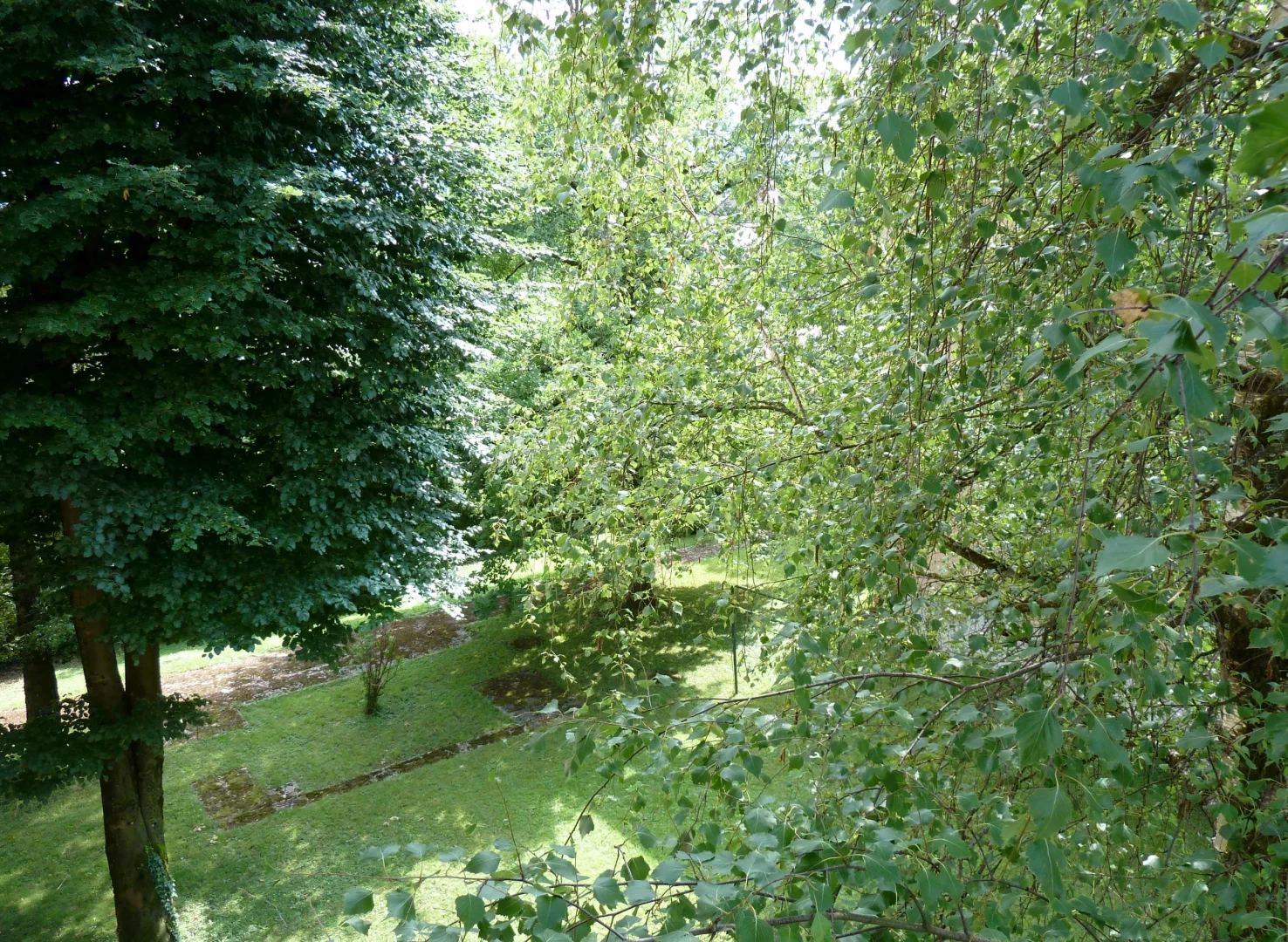 Ausblick